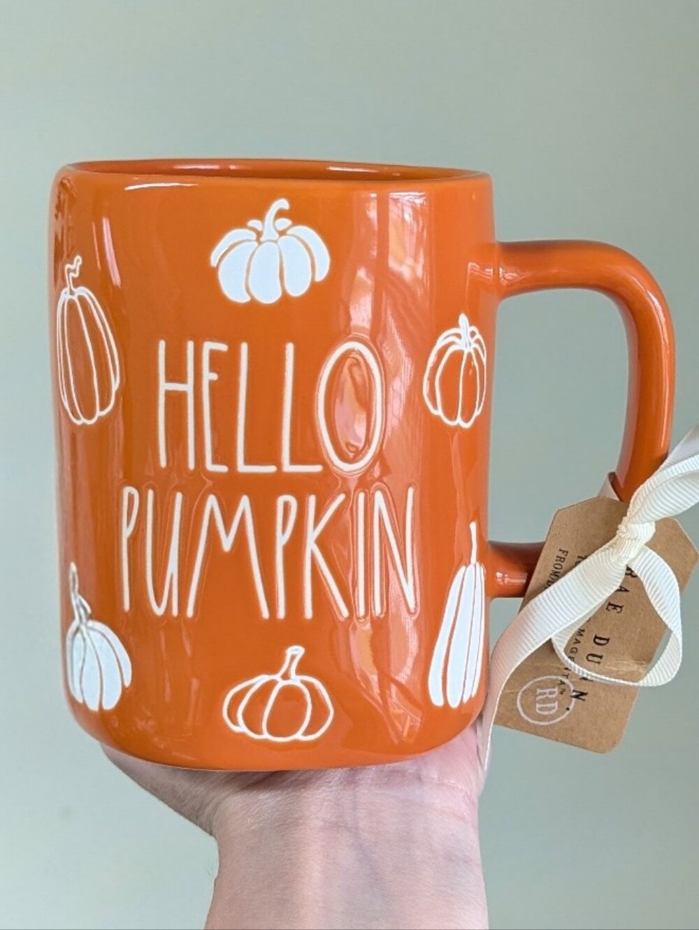 Rae Dunn HELLO PUMPKIN Autumn Mug with Allover Etched Pumpkin Design 🎃🎃